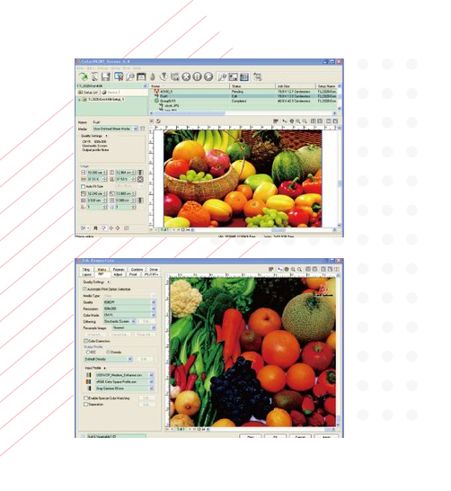 Software de Amica para las impresoras